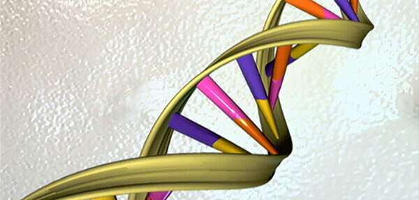 Cancer Can Be Driven by Noncoding DNA Mutations