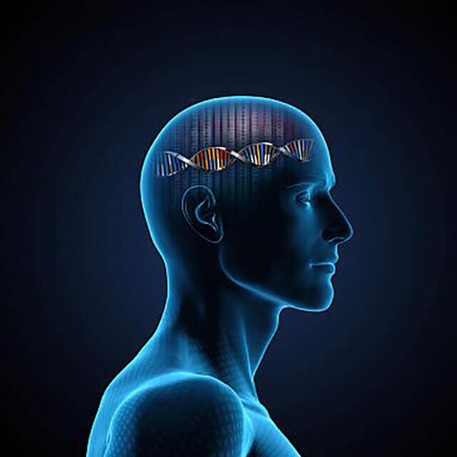 Glioblastoma and Extrachromosomal DNA: A Tale of Divergent Inheritance