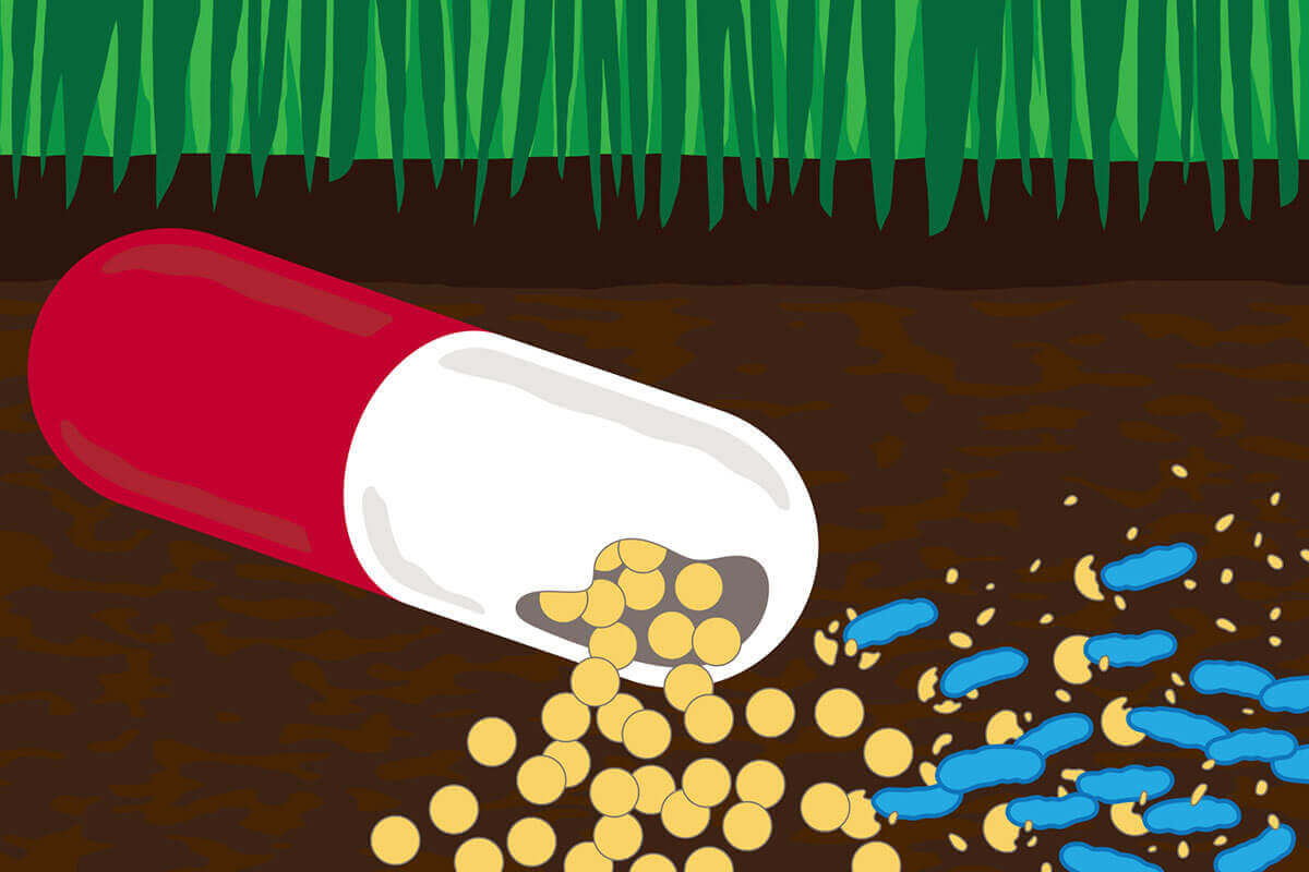 Antibiotic-Snacking Bacteria Could Help Tackle Environmental Contamination