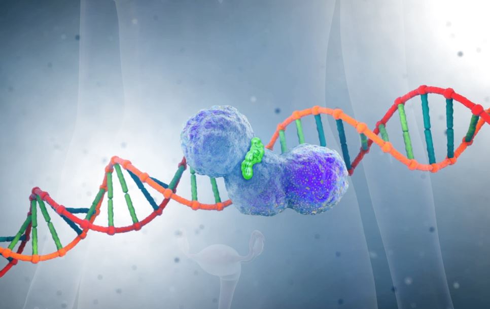 Cancer Drug Resistance Predicted by CRISPR Screens