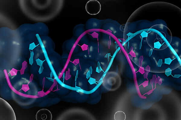 Tumor-Suppressor Genes Turned Off by 3′ UTR Shortening