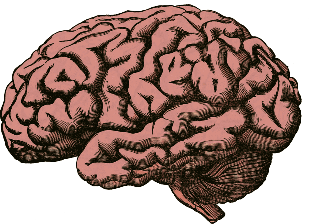 Brain Cancer Spread Might Be Halted by Targeting Interstitial Fluid Flow