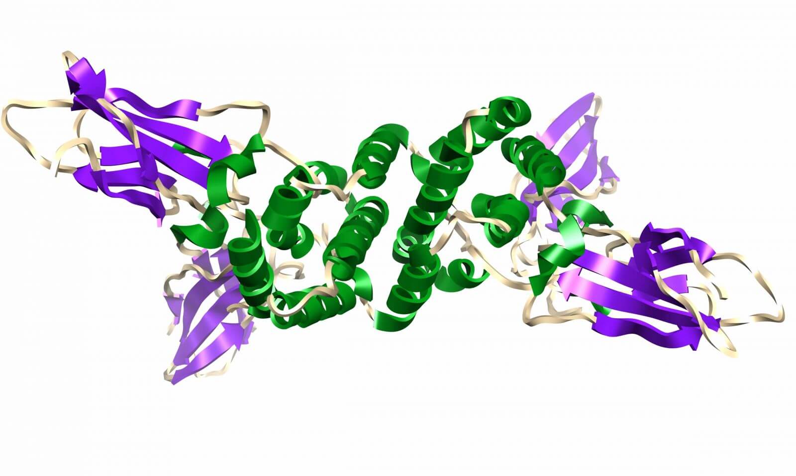 Protein expression. Protein bioloby smile. System for Protein Purification,.