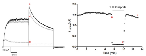 Cisapride inhibits hERG potassium current current graph and hERG peak current versus time