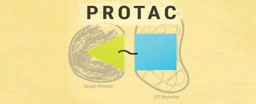 Simple schematic diagram of PROTAC drug composition 