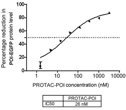 HEK 293T Stable Transgenic Cell Line (POI-EGFP) High-Throughput Screening