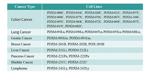 PDX Mouse Tumor Model