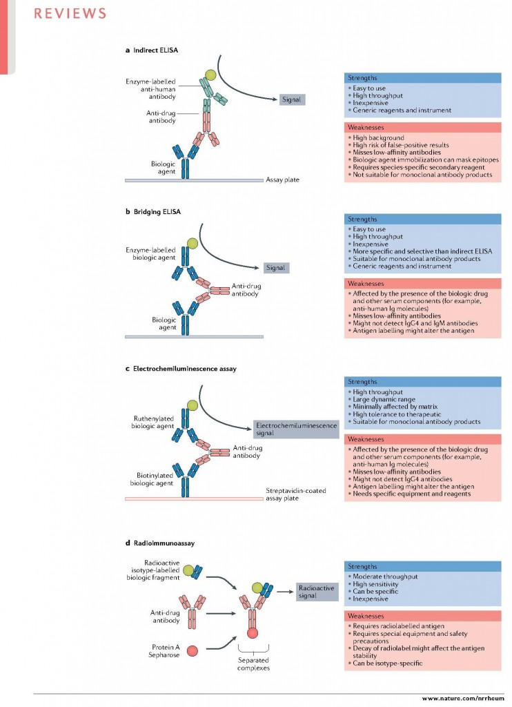 Immunogenicity Of Biologic Agents | Medicilon