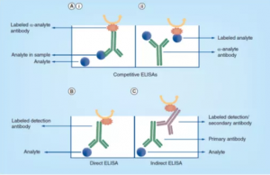 Common ELISA Format_competitive ELISA | Medicilon