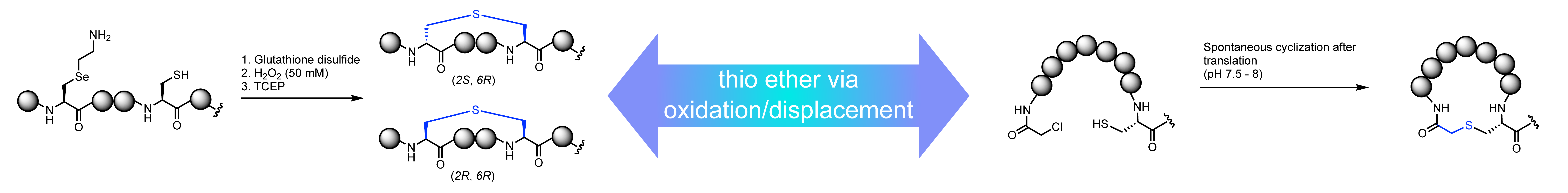 image (2)