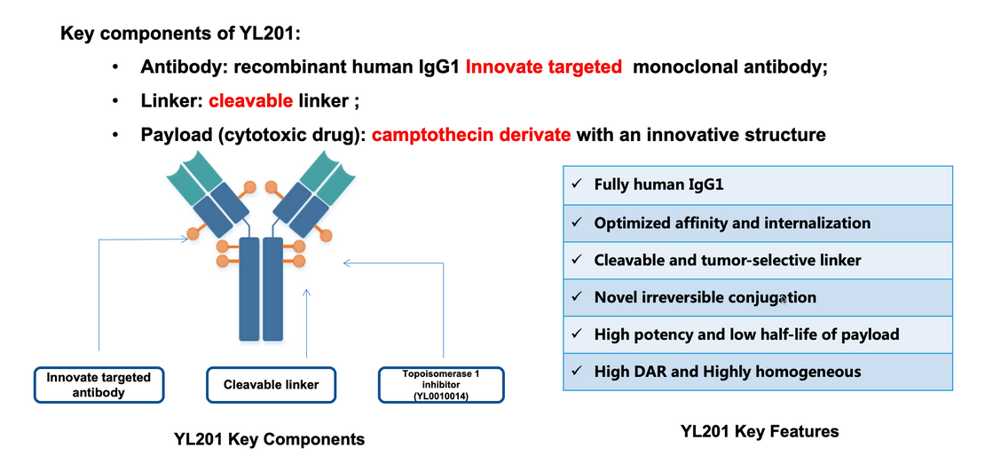 Structural Specific Binding of YL201’s Key Components