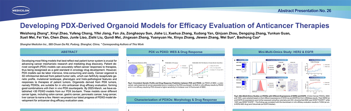 Developing-PDX-Derived-Organoid-Models-for-Efficacy-Evaluation