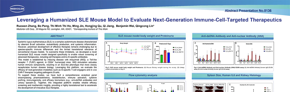 Leveraging-a-Humanized-SLE-Mouse-Model-to-Evaluate-Next-Generation-Immune-Cell-Targeted-Therapeutics